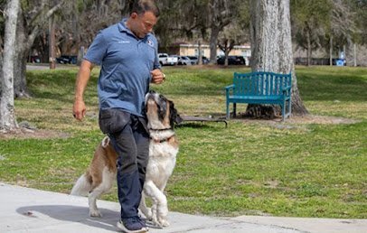 Dog day care in Gainesville Florida Casper s Camp Hope Gainesville Dog Training 1