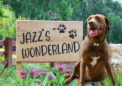 Dog day care in Gainesville Florida Jazz s Wonderland 1