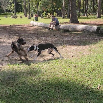 Dog day care in Gainesville Florida Must Love Dogs Park 1