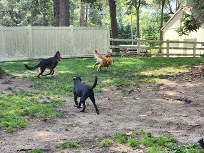 Dog day care in Georgetown, Delaware - For Your Spot LLC Dog day care in Georgetown, Delaware - For Your Spot LLC