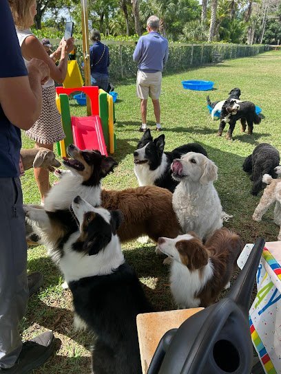 Dog day care in Hobe Sound Florida Hobe Sound Country Club Kennels 1