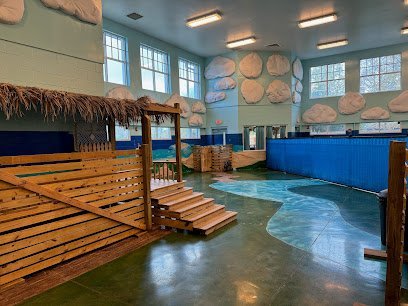 Dog day care in Jacksonville Florida Coastal Doggie Daycare 1