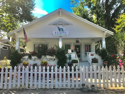 Dog day care in Jacksonville Florida Lubas Pet Studio 1