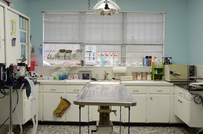 Dog day care in Jacksonville Florida Northside Animal Hospital 1