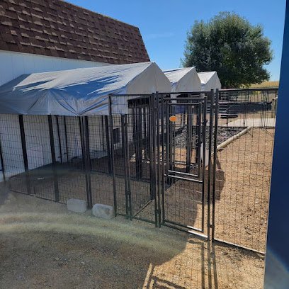 Dog day care in LaSalle Colorado Woofstock Dog Boarding