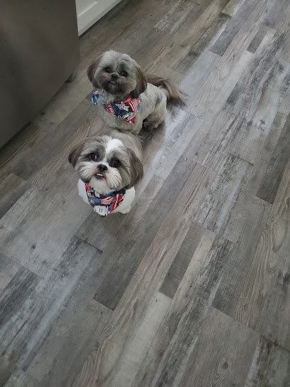 Dog day care in Lady Lake Florida Village Pet Spa 1