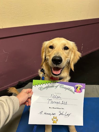 Dog day care in Lakeland Florida Das Hund Haus Inc 1