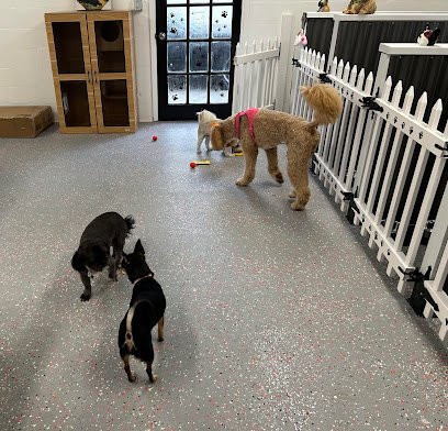Dog day care in Lakeland Florida Friendly Paws Inn 1
