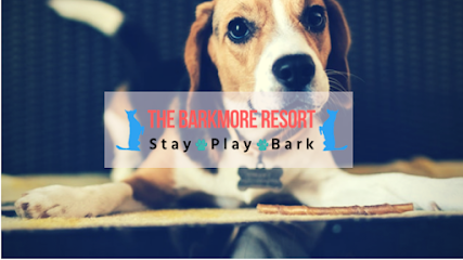 Dog day care in Land O Lakes Florida The BarkMore Resort 1