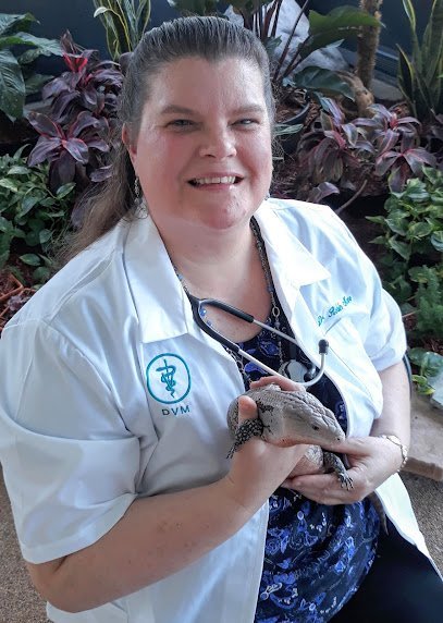 Dog day care in Largo Florida East Bay Animal Hospital 1