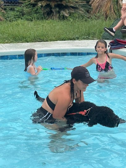 Dog day care in Live Oak Florida Doggie Dude Ranch Pet Resort Rescue 1