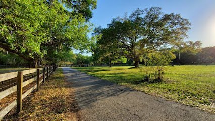 Dog day care in Lutz Florida Bravo K9 Tampa 1