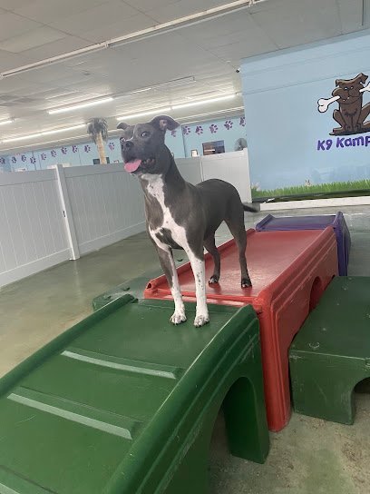 Dog day care in Melbourne Florida K9 Kampus 1