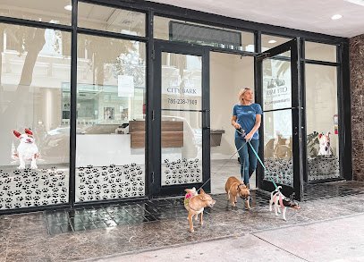 Dog day care in Miami Florida City Bark Miami 1