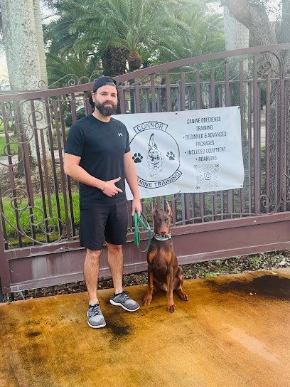 Dog day care in Miami Florida Connor Canine Training 1