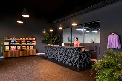 Dog day care in Miami Florida DOG Hotels Miami Shores 1