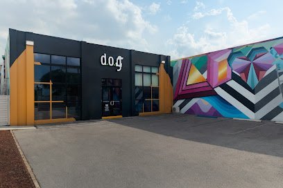 Dog day care in Miami Florida DOG Hotels Wynwood 1