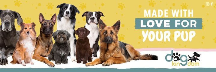 Dog day care in Miami Florida Dog Kingdom Miami 1