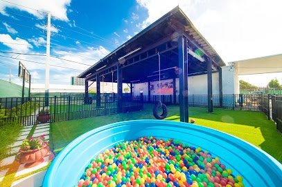 Dog day care in Miami Florida Fit Go Pets 1