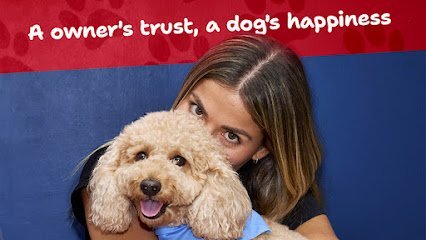 Dog day care in Miami Florida Kisses and Paws Board and Care 1