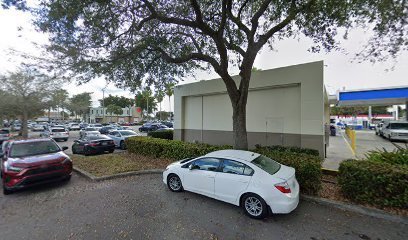 Dog day care in Miami Florida Lisa s Home And Pet Sitting Services 1