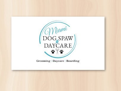 Dog day care in Miami Florida Miami Dog Spaw Daycare 1
