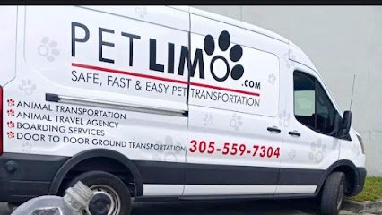 Dog day care in Miami Florida Pet Limo Animal Services Inc 1