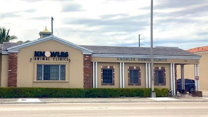 Dog day care in Miami Florida VCA Knowles Central Animal Hospital 1