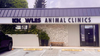 Dog day care in Miami Florida VCA Knowles Snapper Creek Animal Hospital 1