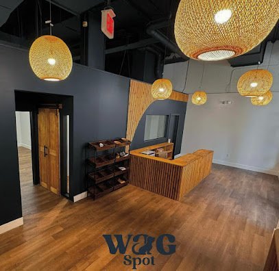 Dog day care in Miami Florida Wag Spot 1