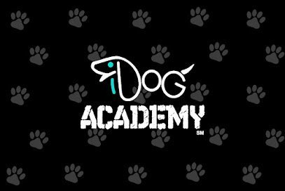 Dog day care in Miami Florida iDog Academy 1