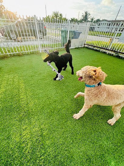 Dog day care in Miami Gardens Florida GMFBOARDING 1