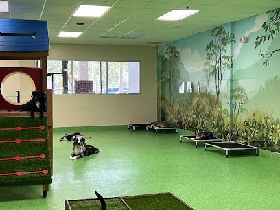 Dog day care in Miami Lakes Florida Zen Canine Club 1