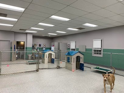 Dog day care in Milford Connecticut Bark Avenue Pet House 1