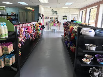 Dog day care in Miramar Beach Florida What s Up Dog Miramar Beach 1