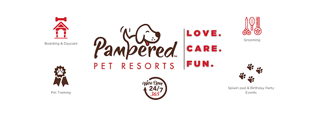 Dog day care in Naples Florida Pampered Pet Resorts 1