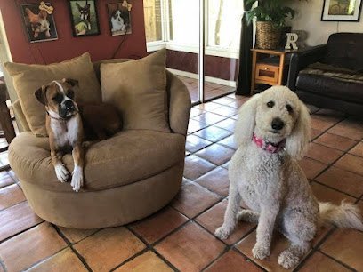 Dog day care in Naples Florida Rovers Retreat 1