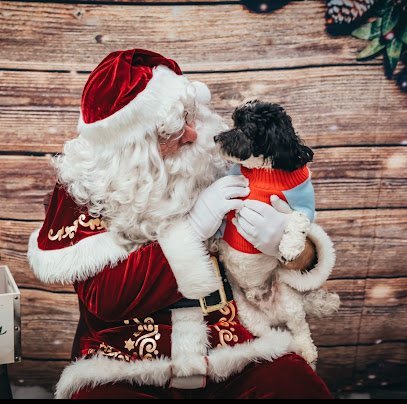 Dog day care in Newark, Delaware - The Doggie Playhouse Dog day care in Newark, Delaware - The Doggie Playhouse