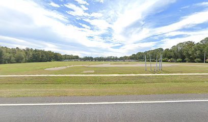 Dog day care in Newberry Florida AHHHHA Inc. Dogs Rule 1