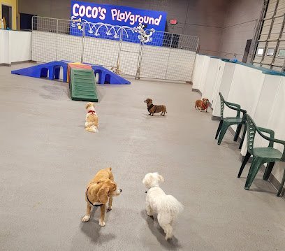 Dog day care in Newington Connecticut What a Ruff Life 1