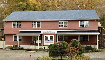 Dog day care in Newtown Connecticut Cassio Pet Resort Training Center Newtown CT 1