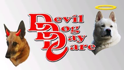 Dog day care in North Branford Connecticut Devil Dog Day Care 1