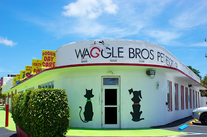 Dog day care in North Miami Beach Florida Waggle Bros 1
