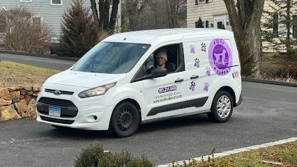 Dog day care in Norwalk Connecticut Woof Walkers LL 1