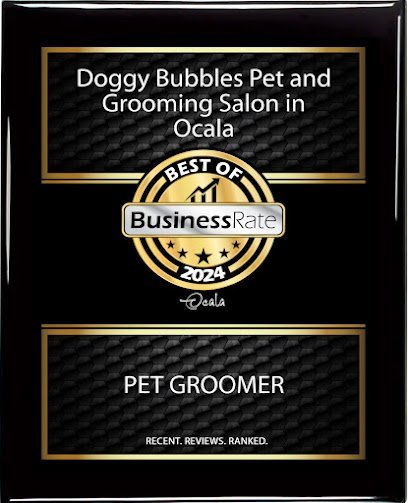 Dog day care in Ocala Florida Doggy Bubbles Grooming and Boarding in Ocala 1