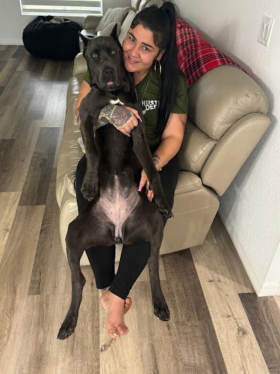 Dog day care in Opa locka Florida Miracle Puppies Whelping 1