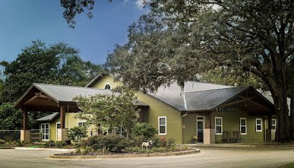 Dog day care in Orange Park Florida Poochie s Park 1