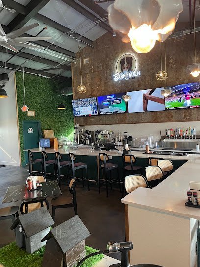 Dog day care in Orlando Florida BarkHaven 1