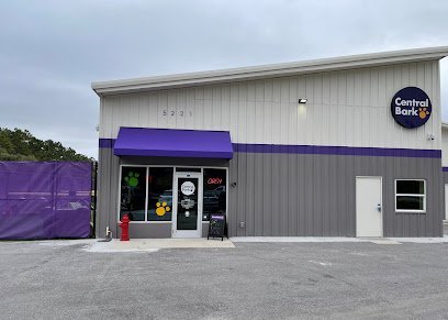 Dog day care in Orlando Florida Central Bark Orlando East 1