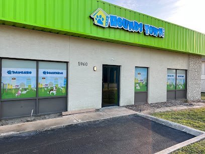 Dog day care in Orlando Florida Hounds Town Orlando Universal 1